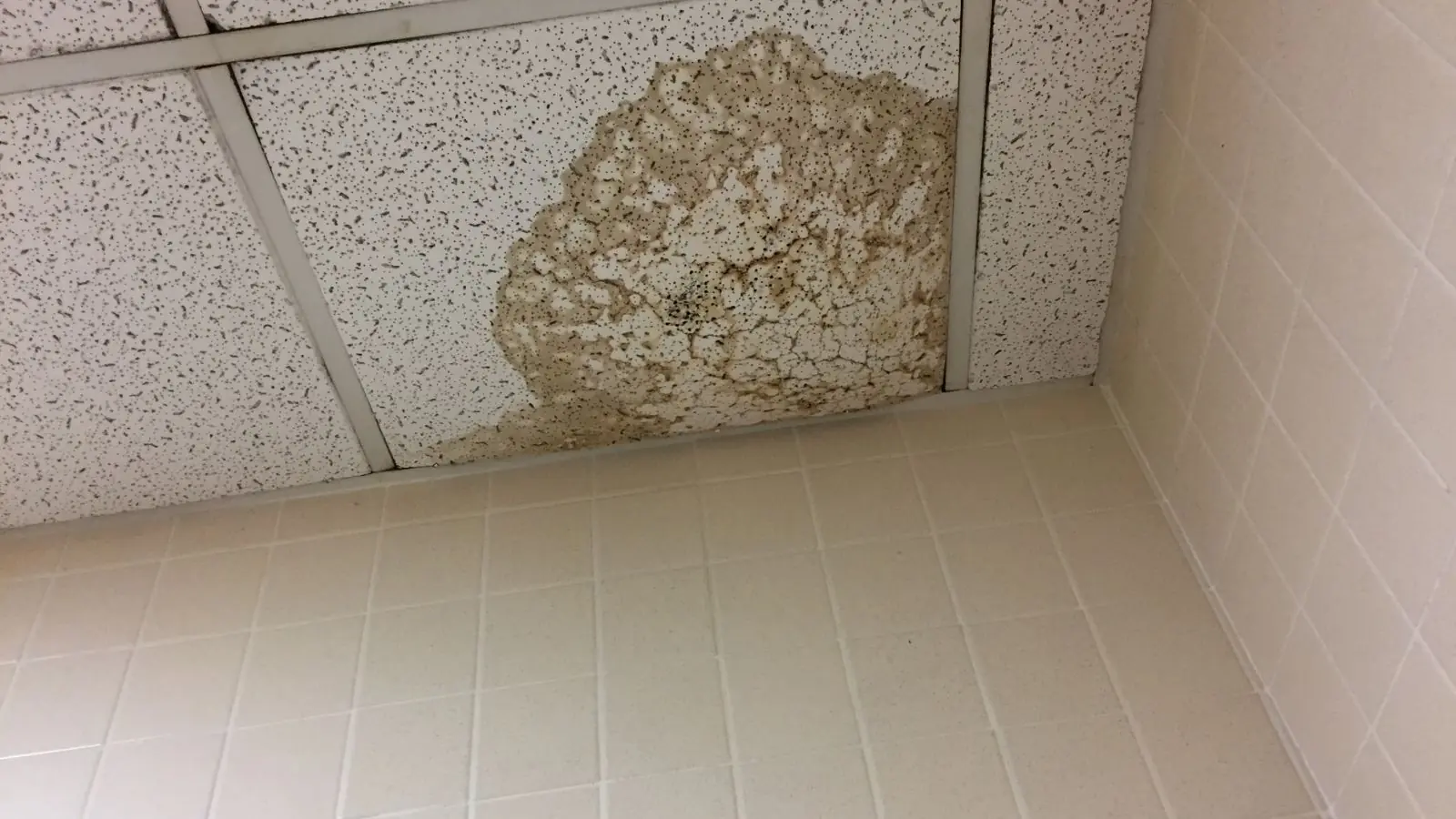 Water-stained ceiling tile above a tiled bathroom floor showing a leak from the unit above