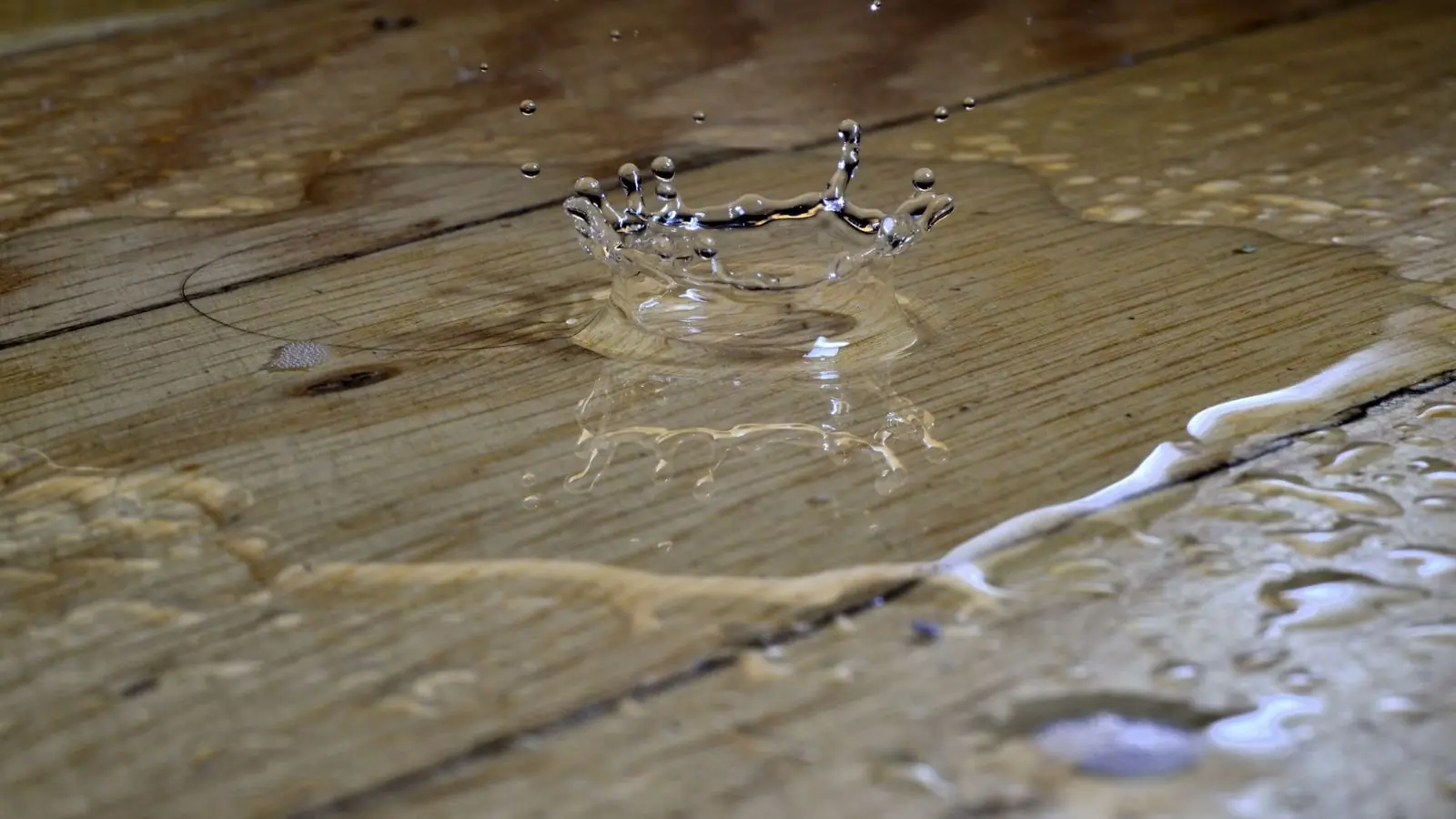 Water droplets pooled on a hardwood floor surface, the first sign of board cupping