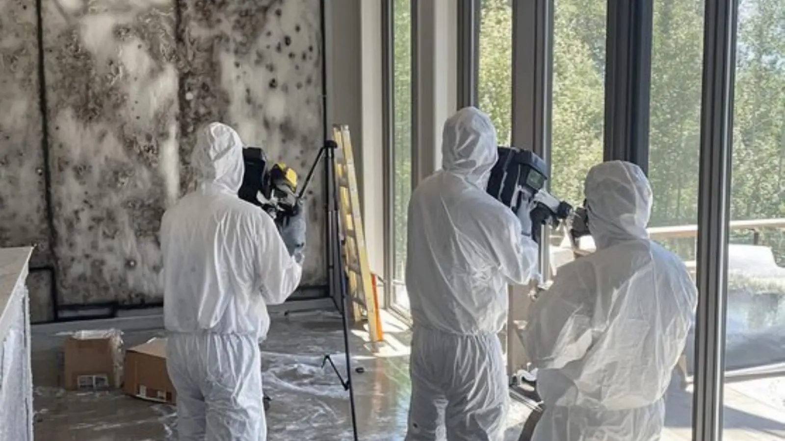 Technicians in protective suits inspecting a mold-affected wall with a camera on a tripod