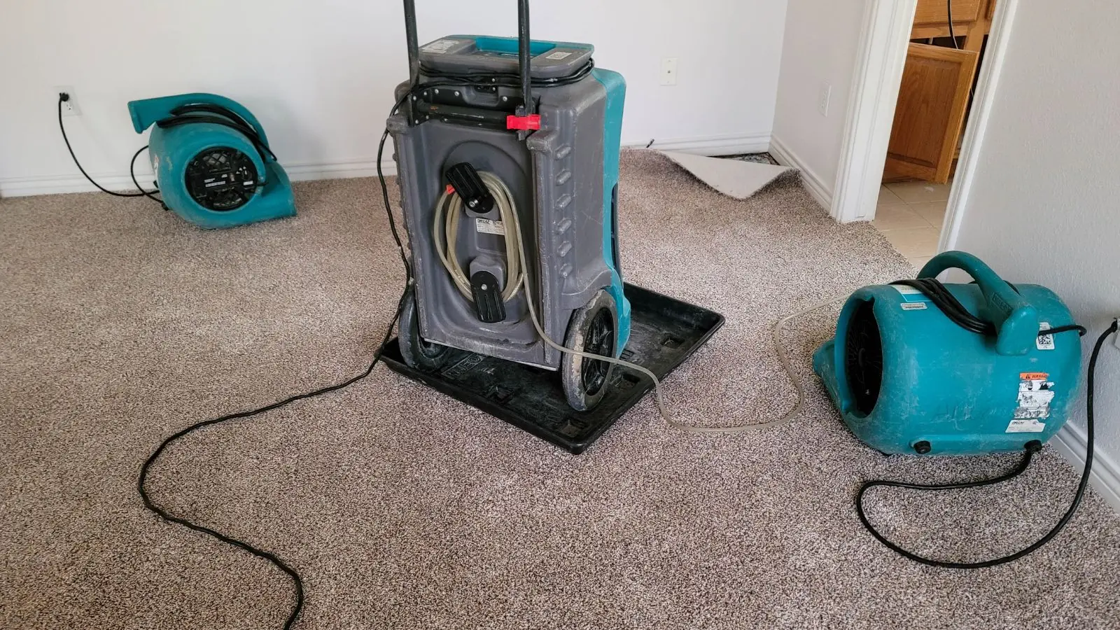 Dehumidifier and air movers drying a carpeted room after a leak